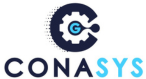 Grupo de Servicios CONASYS